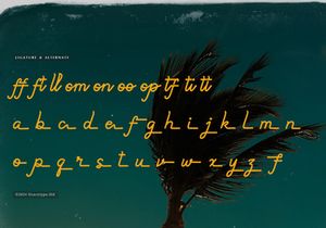 Paradise Gallaiso | Monoline Script Typeface