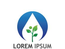 Natural green leaf logo.
