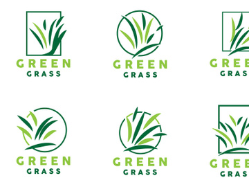 Green Grass Logo, Nature Plant Vector preview picture