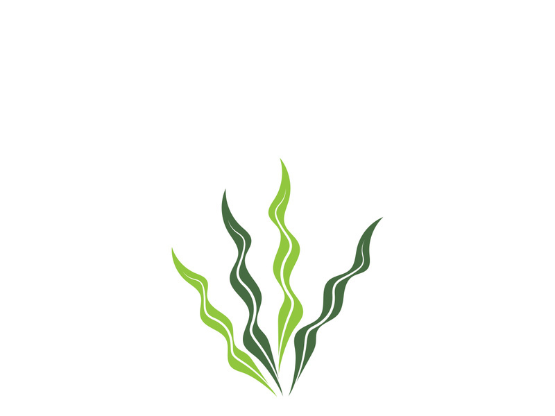 seaweed vector illustration template