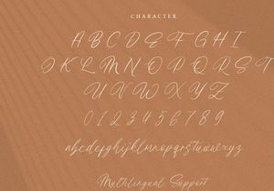 Vacillate - Script Font