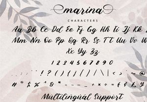 Marina - Modern Script Font