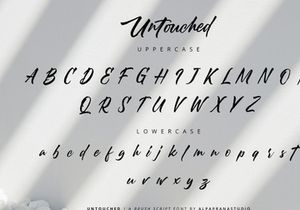 Untouched - Brush Script Font