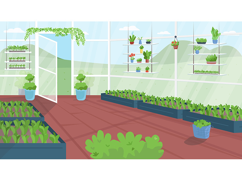 Greenhouse flat color vector illustration