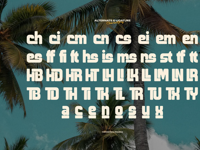 Fredoka Summer | Bold Display Sans