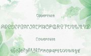 Abighail - Nature Script Font
