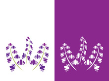 Fresh lavender flower logo vector flat design
