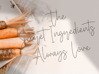 Baster Monky - Monoline Script Font