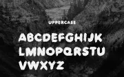 Europa Brush — FREE Textured Brush Font