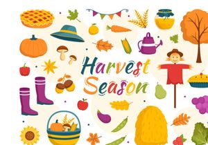 15 Harvest Season Vector Illustration