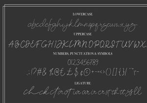 Mishelblanch Signature Stylist Font