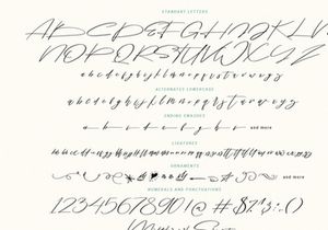 Bisqootte | Modern Calligraphy Font