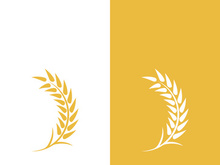 Wheat logo vector icon illustration design