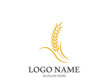 Wheat logo vector icon illustration design
