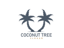 Coconut Tree Logo, Palm Tree Plant Vector