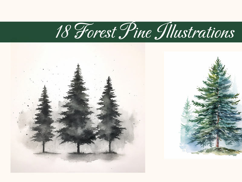 Forest Pine Illustration