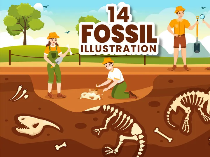 14 Fossil Dinosaurs Skeletons Illustration