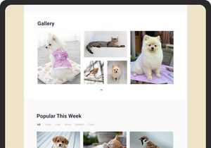 Pet Place - Pet Care Website Landing Page 3