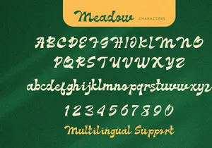 Meadow - Groove Script Font