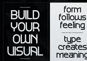 Neister | Sans Serif Typeface
