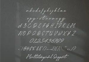 Delimis Script Font