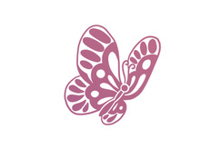 Butterfly, SVG Vector Illustration