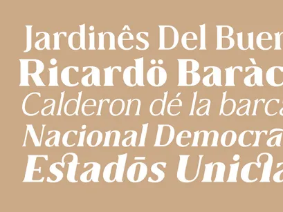 Collager - Modern Serif Family Font