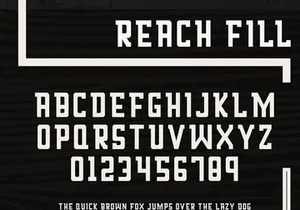 Reach Display Font Family