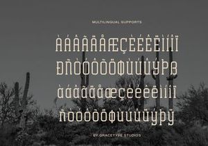 Archives Classic | Slab Serif Font