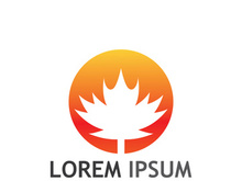 Maple leaf logo design with creative idea