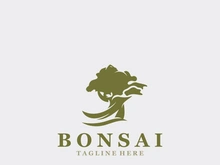 Bonsai Tree Logo Design template. vintage  illustration of aesthetic bonsai plants culture