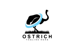 Ostrich Logo Design, Desert Animal Illustration, Living In The Forest, Vector Camel Brand Product