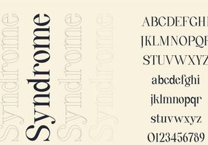 Quinty a Luxury Serif Font Family