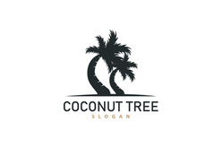 Coconut Tree Logo, Palm Tree Plant Vector