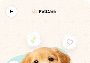 Luxury Pet Grooming & Wellness App Design | Modern Mobile UI Cas