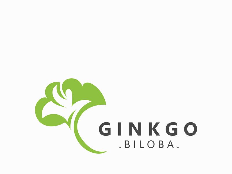 Ginkgo biloba leaf logo. can be used for herbal health products modern style logo design template