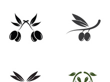 Branched olive fruit logo with creative idea.