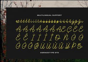 Morlintado | Monoline Script