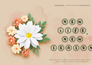 Spring Break - Decorative Display Font