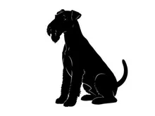 Silhouette of a sitting dog with floppy ears and tail