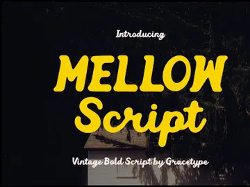 Mellow Script | Vintage Bold Script preview picture