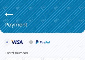 Payment details and Transaction success screens