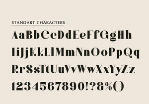 Qatro | Display Serif Font