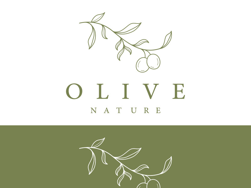 Hand drawn Botanical logo,leaf and natural olive fruit .Herbal, olive oil,cosmetic or beauty.