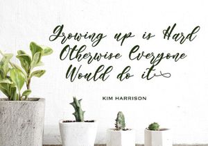 Angelina Rahmy - Modern Script Font