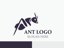 Ant logo design silhouette. Isolated animal ants on background design template vector