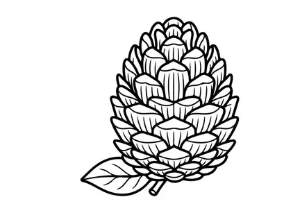 Ilustrasi kerucut pinus dengan daun. Gambar botanis artistik untuk tema alam.