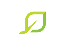 Green leaf logo  Nature icon design