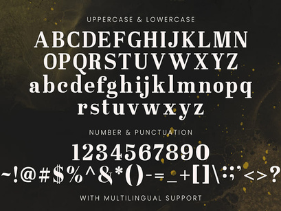 Westerniya Serif - Elegant Serif Font
