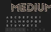 Privus Type Family — Free Demo